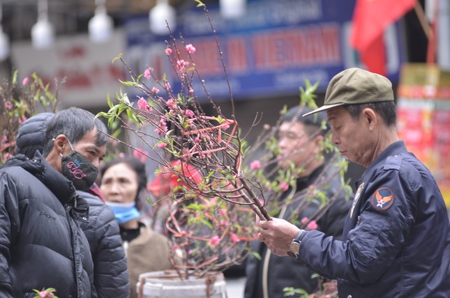 29 Tết: Tiểu thương ngủ gật, đào quất ế chỏng chơ ảnh 10