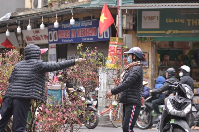 29 Tết: Tiểu thương ngủ gật, đào quất ế chỏng chơ ảnh 9