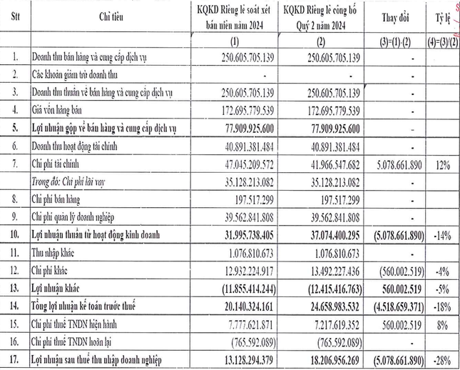 Nhiều doanh nghiệp 'bốc hơi' lợi nhuận sau soát xét ảnh 1