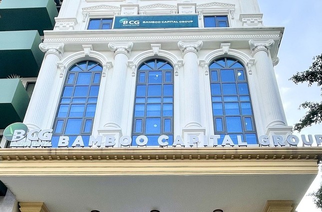 Bamboo Capital, Phát Đạt... phát hành hàng trăm triệu cổ phiếu ảnh 2