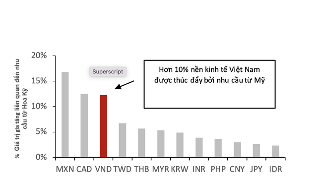 Hàng Việt xuất Mỹ tăng ảnh 1