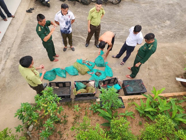 Người đàn ông vận chuyển 17 cá thể động vật quý hiếm ở Côn Đảo bị xử lý thế nào? ảnh 1