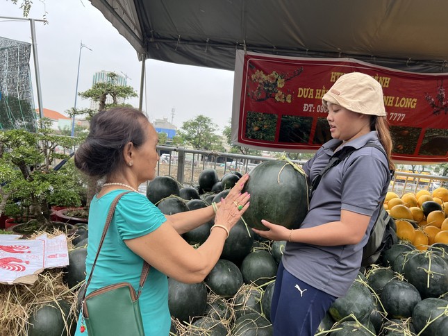 Hơn nửa triệu đồng một quả bưởi 'siêu to, khổng lồ' ở TPHCM ảnh 6