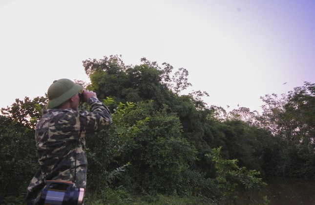 ‘Bảo mẫu’ đàn chim trời ảnh 2