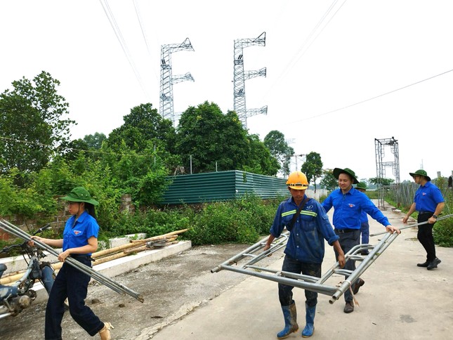 'Áo xanh' hỗ trợ thu hoạch rau màu, di dời tài sản để thi công đường dây 500kV mạch 3 ảnh 4