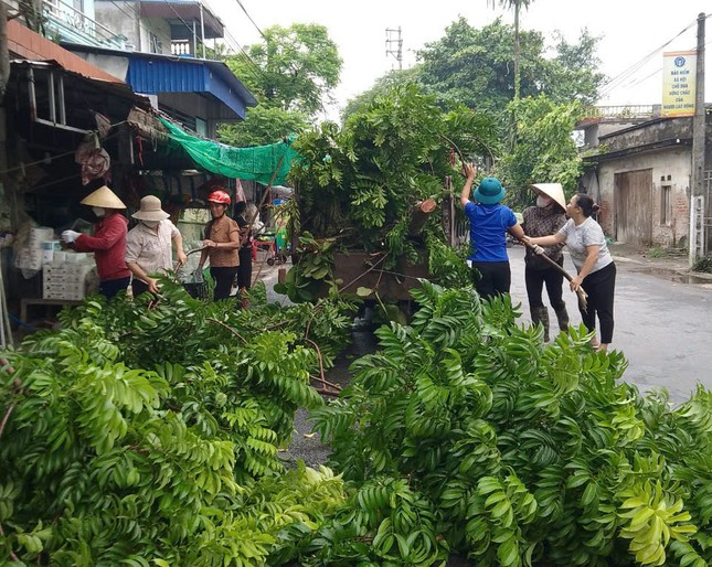 Thái Bình thành lập 298 đội thanh niên xung kích hỗ trợ ứng phó bão YAGI ảnh 4