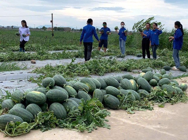 'Áo xanh' đi từng ngõ tuyên truyền ứng phó siêu bão YAGI, giúp thu hoạch nông sản ảnh 1