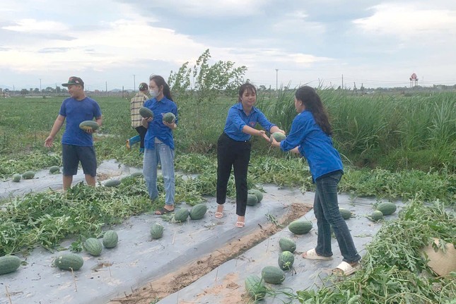 'Áo xanh' đi từng ngõ tuyên truyền ứng phó siêu bão YAGI, giúp thu hoạch nông sản ảnh 2