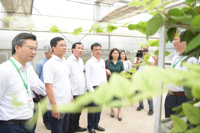 Hỗ trợ đào tạo kĩ năng khởi nghiệp cho học sinh, thanh niên ảnh 1