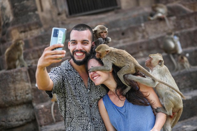 Thành phố du lịch nổi tiếng bị 3.500 con khỉ 'xâm chiếm' ảnh 3