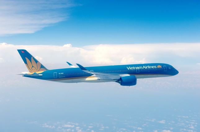Lý do Vietnam Airlines hủy liên tiếp các chuyến bay đi Đức ảnh 1