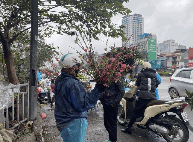 Người Hà Nội thích thú 'ăn chơi' hết tháng Giêng với hoa lê rừng ảnh 7