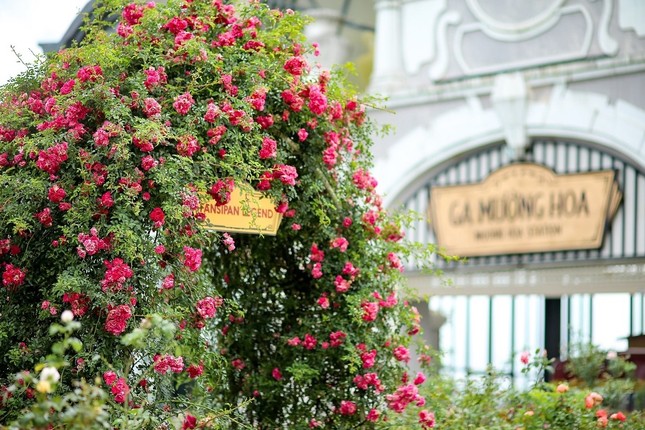 Những điểm du lịch sắp có vô vàn sự kiện ảnh 1