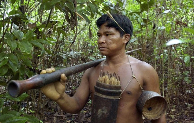 Bộ lạc nào nổi tiếng với biệt tài thổi phi tiêu tẩm độc?