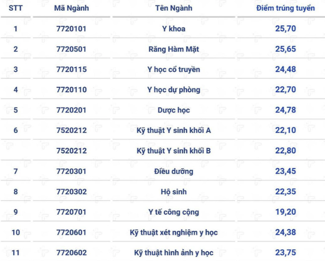 Toàn cảnh điểm chuẩn các trường Y dược: Ngành Tâm lý điểm cao đầu bảng ảnh 7