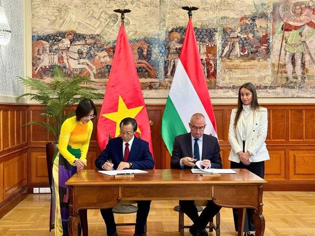 Nhiều cơ hội nhận học bổng đại học và sau đại học tại Hungary ảnh 1