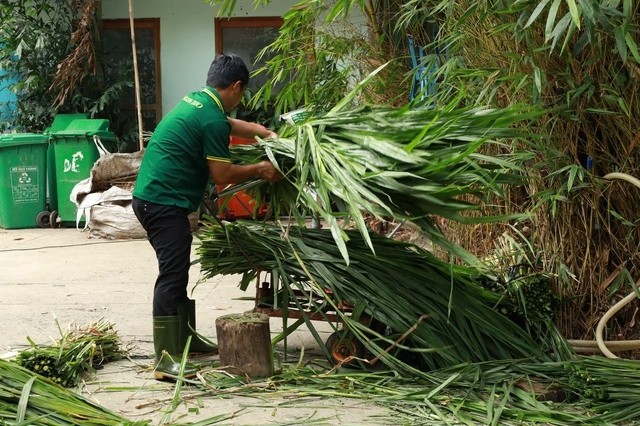 Bữa ăn của đàn thú ra sao trong lúc Thảo Cầm Viên Sài Gòn nợ 800 tỉ đồng? ảnh 3