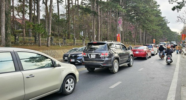 Hết Tết, Đà Lạt vẫn tấp nập du khách ảnh 1