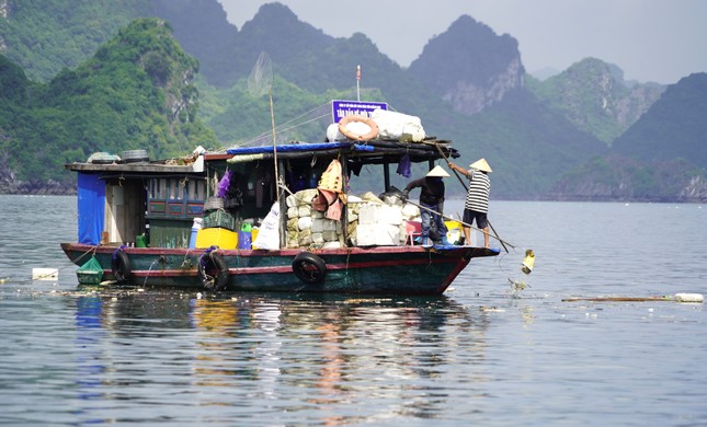 Vịnh Hạ Long ngập ngụa rác, đơn vị quản lý nói gì? ảnh 2