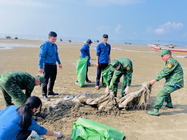 Thanh niên cùng chiến sĩ biên phòng dọn rác trên biển Trà Cổ ảnh 1