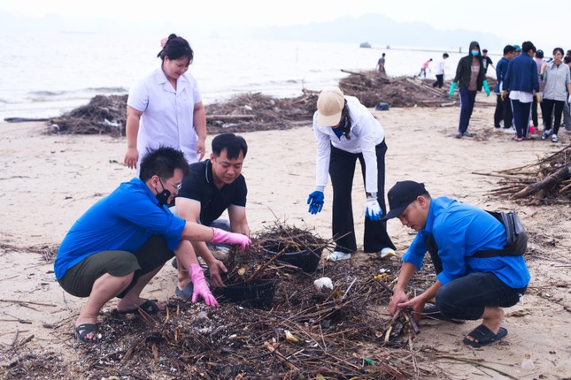 Hàng vạn thanh niên Hạ Long ra quân làm sạch môi trường ảnh 6