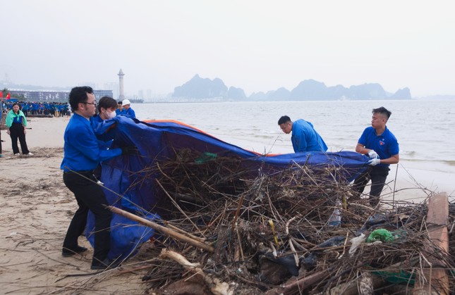 Hàng vạn thanh niên Hạ Long ra quân làm sạch môi trường ảnh 5