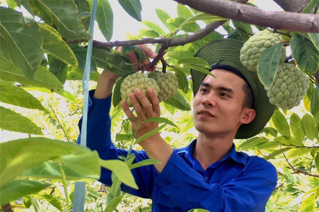 'Dân công nghệ' bỏ phố về quê khởi nghiệp với đặc sản Hải Phòng ảnh 1