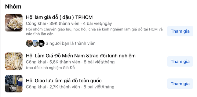 Trào lưu tự làm giá đỗ hot trở lại, chị em 'rần rần' chia sẻ trên mạng ảnh 4