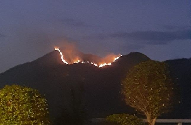 Đang cháy ngùn ngụt trên núi Cô Tiên - Nha Trang Cotien2-5243
