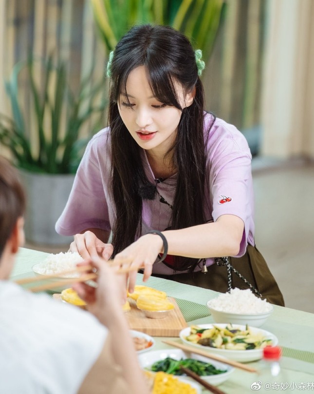 Trịnh Sảng phá sản ảnh 2