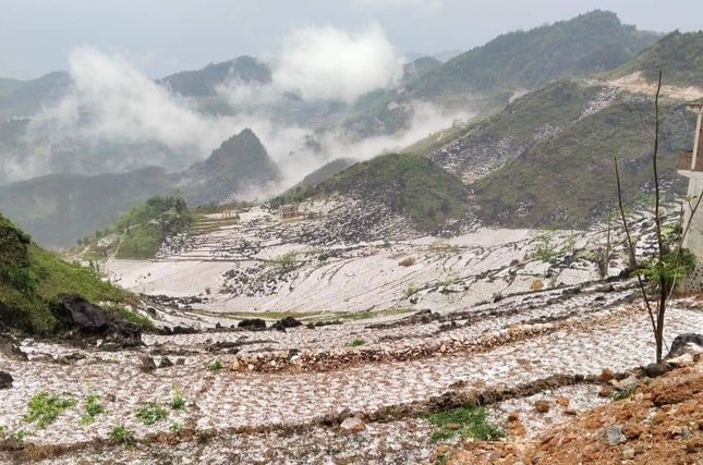 Cận cảnh mưa đá gây thiệt hại lớn ở các tỉnh miền núi phía Bắc ảnh 9