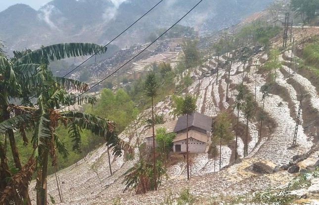 Cận cảnh mưa đá gây thiệt hại lớn ở các tỉnh miền núi phía Bắc ảnh 10