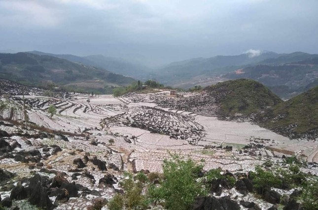 Cận cảnh mưa đá gây thiệt hại lớn ở các tỉnh miền núi phía Bắc ảnh 7