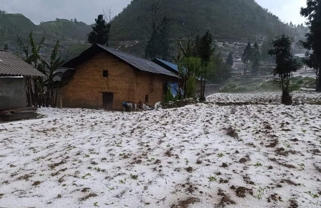 Cận cảnh mưa đá gây thiệt hại lớn ở các tỉnh miền núi phía Bắc ảnh 1