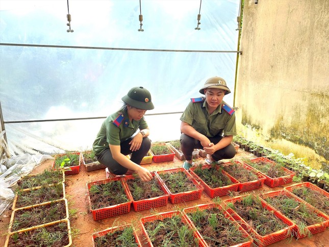 Vào vương quốc thủy tùng - Kỳ cuối: Gian nan chữa bệnh 'vô sinh' ảnh 1