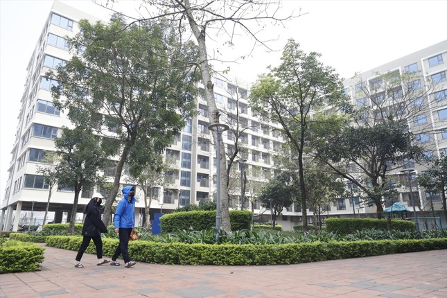 Chung cư Hà Nội 'ngáo giá' ảnh 2