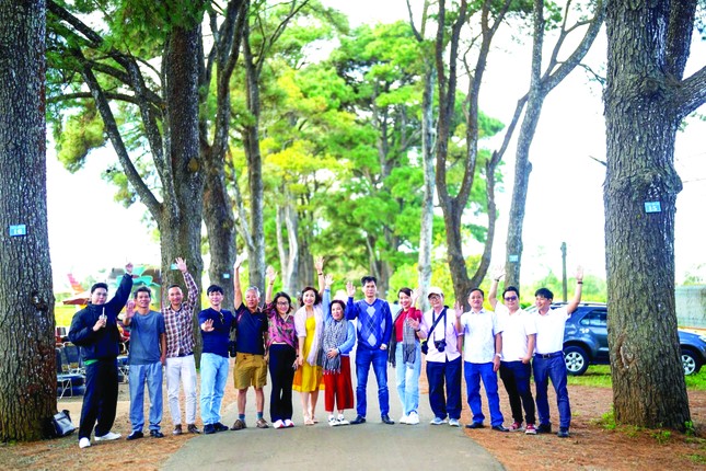 Đất trời 'hội tụ' bên đồi chè cổ thụ ảnh 3