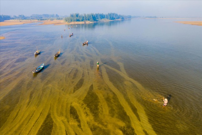 Thợ “săn” don trên dòng Trà Khúc ảnh 1