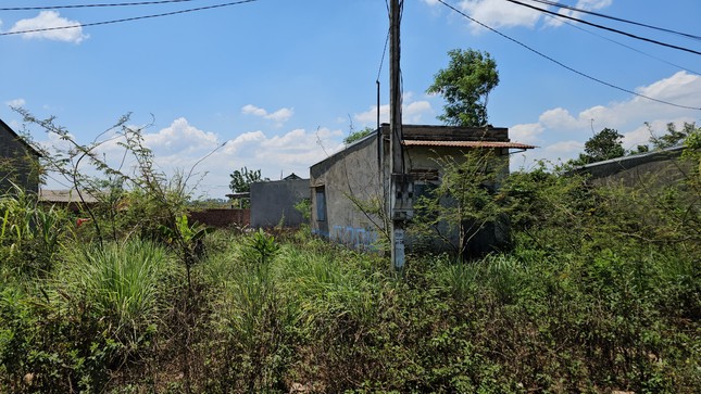 ‘Vườn không nhà trống’ ở khu tái định cư Đắk Lắk ảnh 4