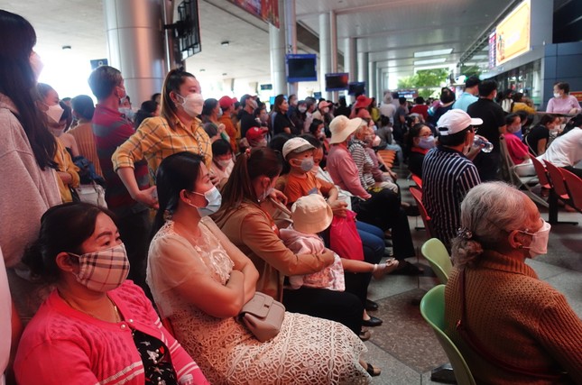 Việt kiều về quê đón Tết, sân bay Tân Sơn Nhất đông nghịt người ảnh 6