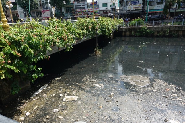 Cá chết, rác thải nổi trên kênh Nhiêu Lộc - Thị Nghè ảnh 9