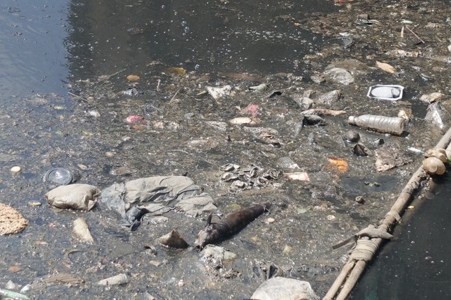 Cá chết, rác thải nổi trên kênh Nhiêu Lộc - Thị Nghè ảnh 5
