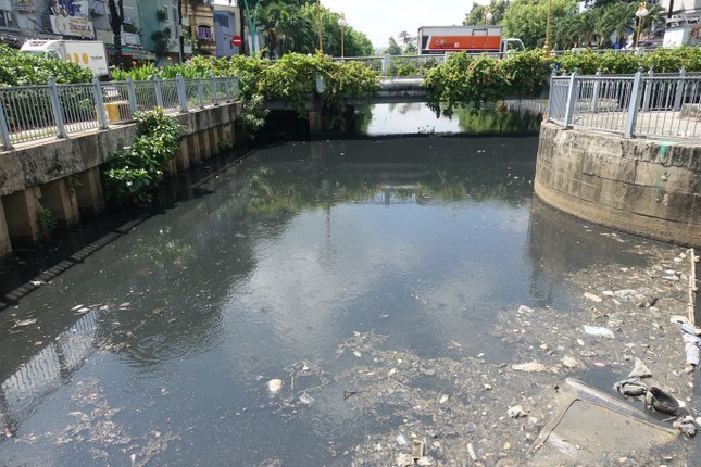 Cá chết, rác thải nổi trên kênh Nhiêu Lộc - Thị Nghè ảnh 7