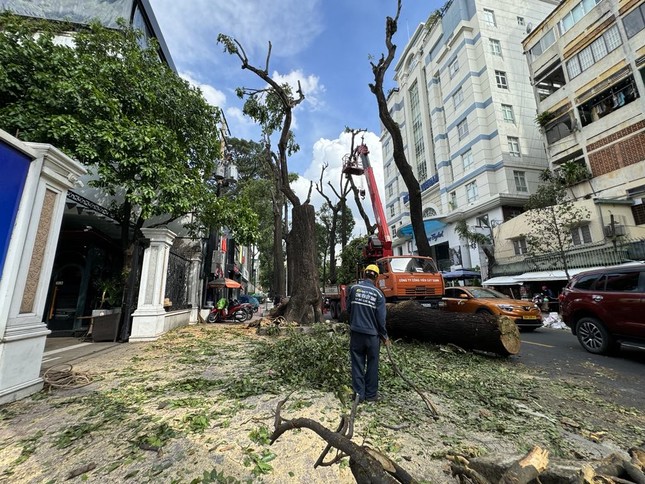 Siêu bão YAGI: Hà Nội cȃy ᵭổ ʟa ʟiệt, ᵭã có trường hợp tử ⱱoոɢ - Ảnh 15.