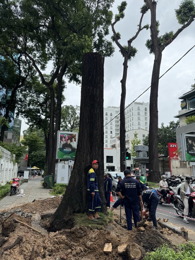 Siêu bão YAGI: Hà Nội cȃy ᵭổ ʟa ʟiệt, ᵭã có trường hợp tử ⱱoոɢ - Ảnh 13.