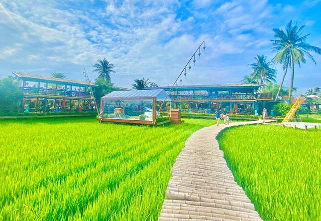 'Cởi trói' cho loại hình đất nông nghiệp kết hợp homestay, farmstay ảnh 1