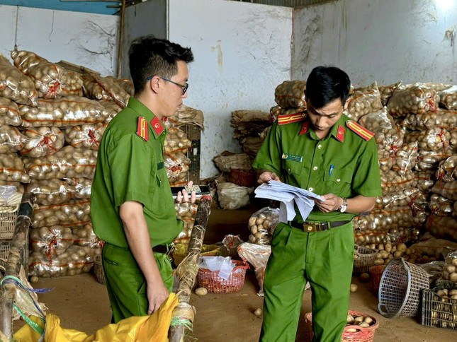 Điều tra vụ 'phù phép' khoai tây Trung Quốc thành nông sản Đà Lạt ảnh 1