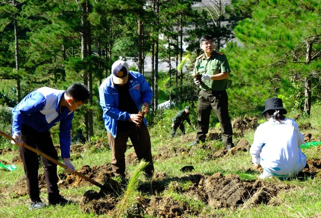 Tuổi trẻ Lâm Đồng phát động ra quân trồng cây gây rừng ảnh 3