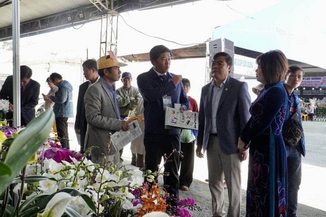 Khách du lịch Đà Lạt được miễn phí ăn… rau- Ảnh 1.