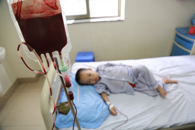 Bác sĩ chỉ cách tránh cho con bạn không bị bệnh tan máu bẩm sinh Thalassemia ảnh 3